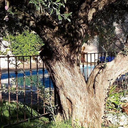 La Cartagene - Chambre Double Calvisson Kültér fotó