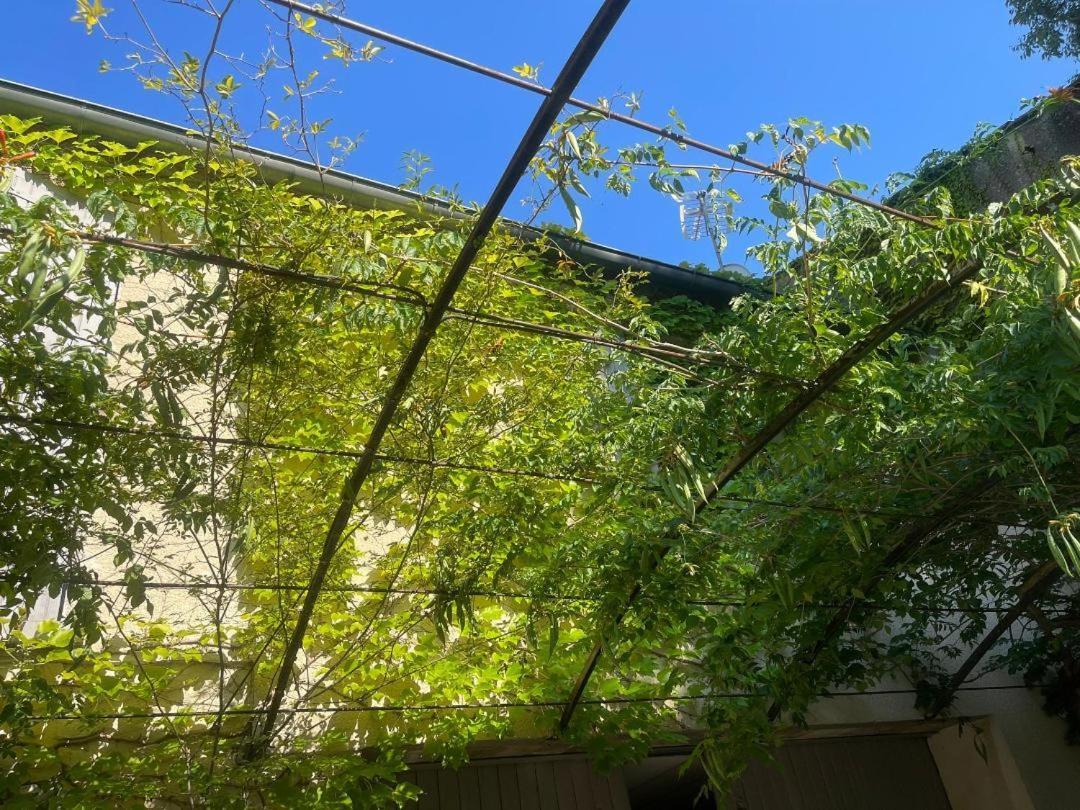 La Cartagene - Chambre Double Calvisson Kültér fotó