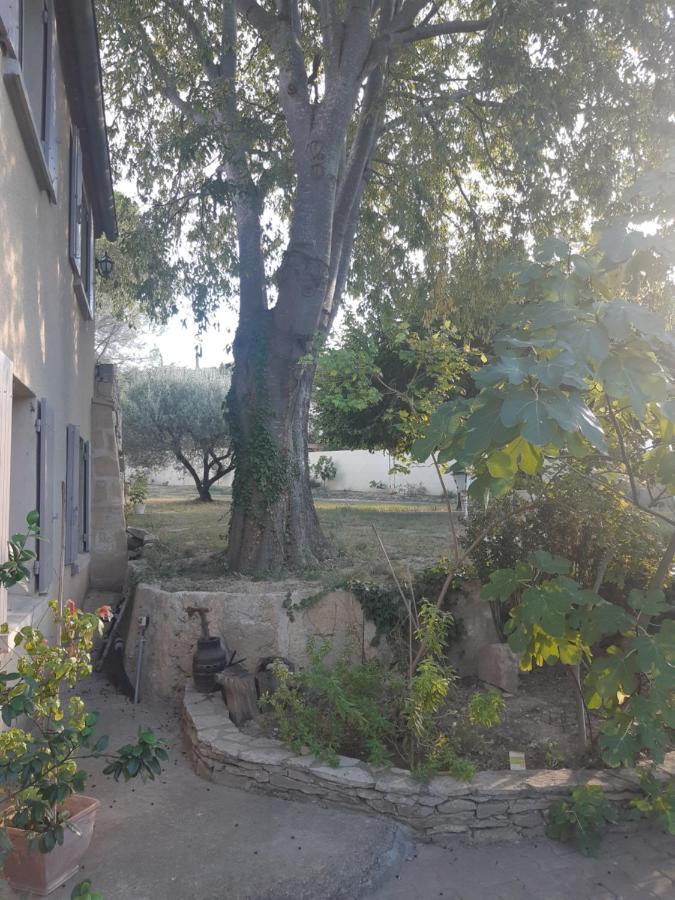 La Cartagene - Chambre Double Calvisson Kültér fotó